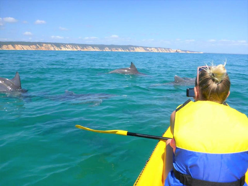 Noosa Dolphin View Sea Kayak & Beach 4X4 Adventure - Day Tour