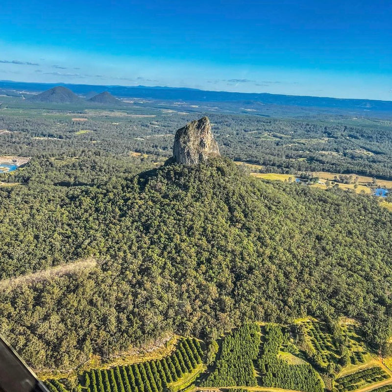 Hinterland And Glasshouse Flight