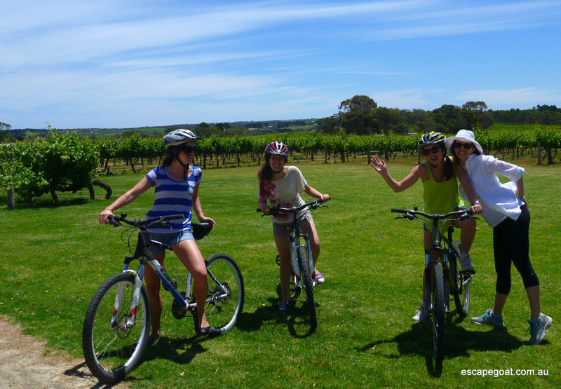 Ride And Wine Tour