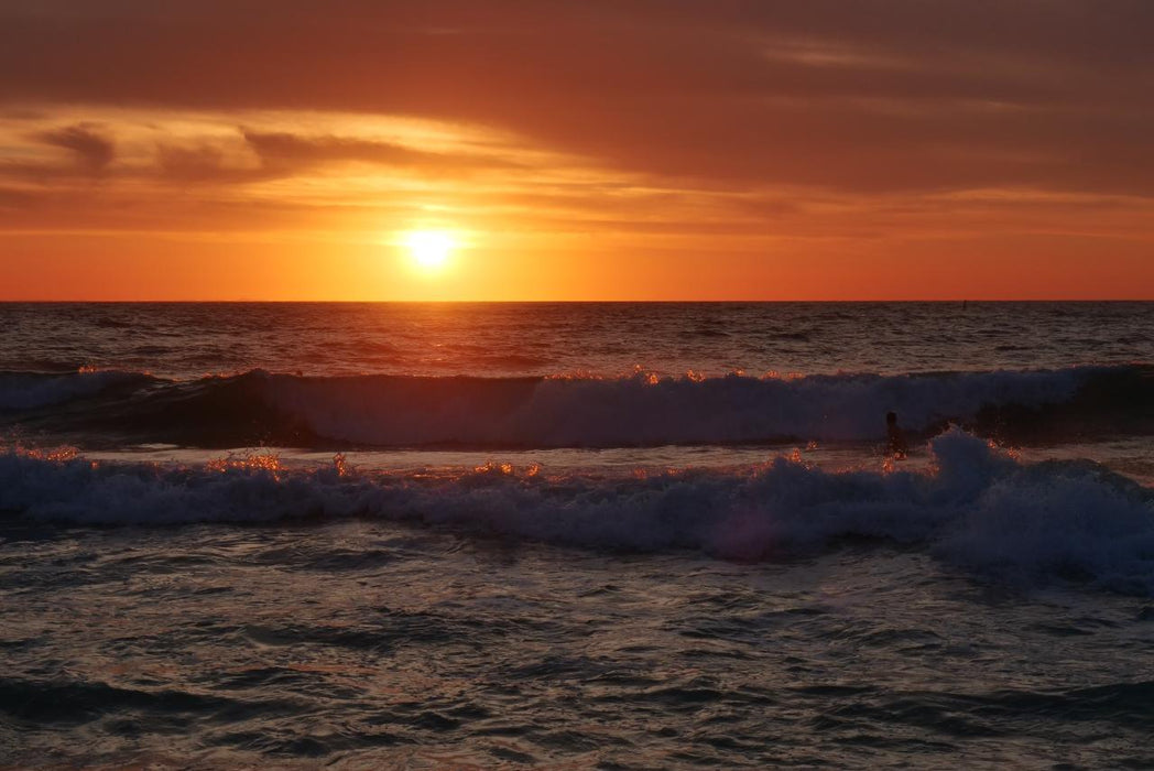 Photographing Australian Animals, Seascapes And Sunsets