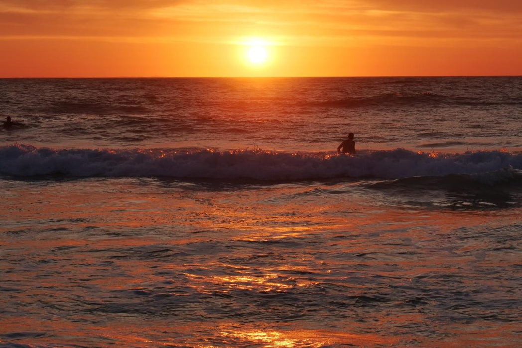 Photographing Australian Animals, Seascapes And Sunsets