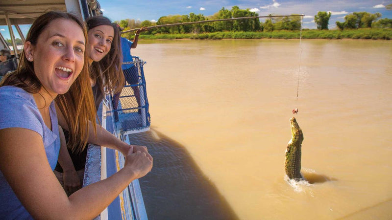 Aat Kings Jumping Crocs & Nature Adventure