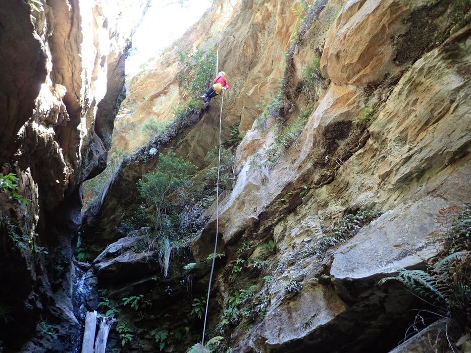 Beautiful Juggler Canyon Abseiling And Canyoning Adventure - Blue Mountains