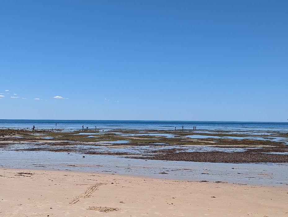 Yorke Peninsula Blue Swimmer Crab Catch N Dine