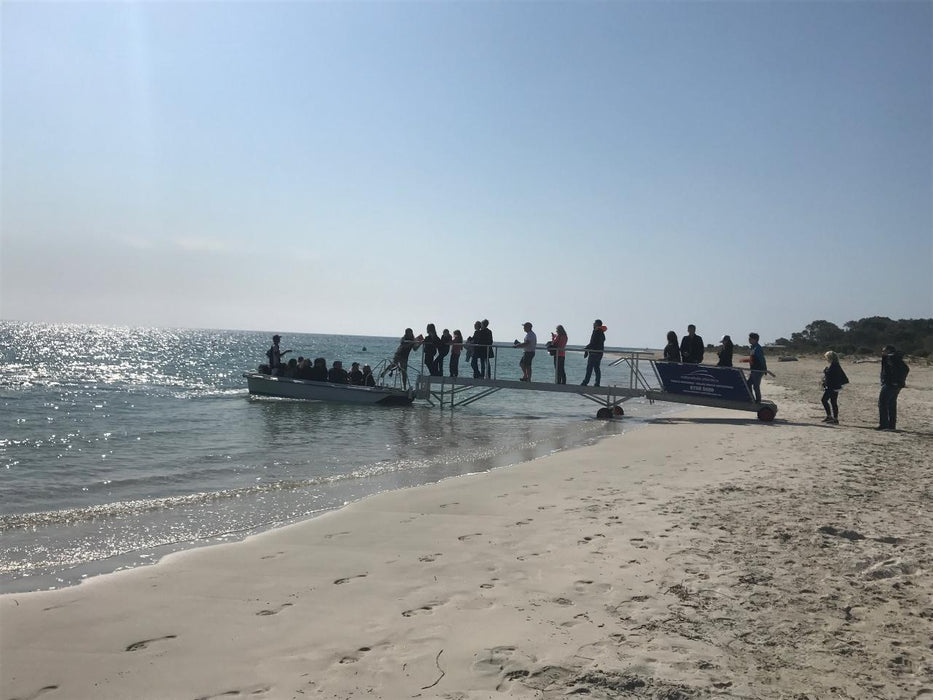 Dunsborough Whale Watching Eco Tours