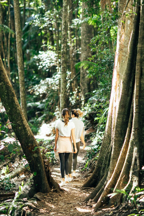 Natural Bridge & Springbrook Waterfalls Tour