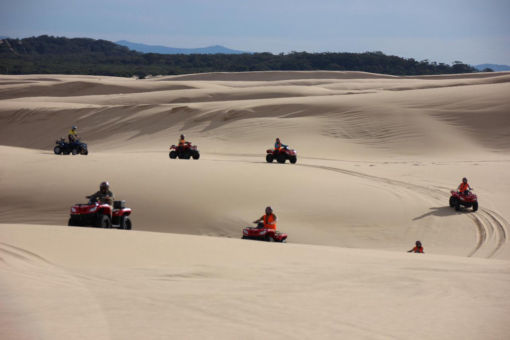 1 Hour Quad Bike Adventure Tour