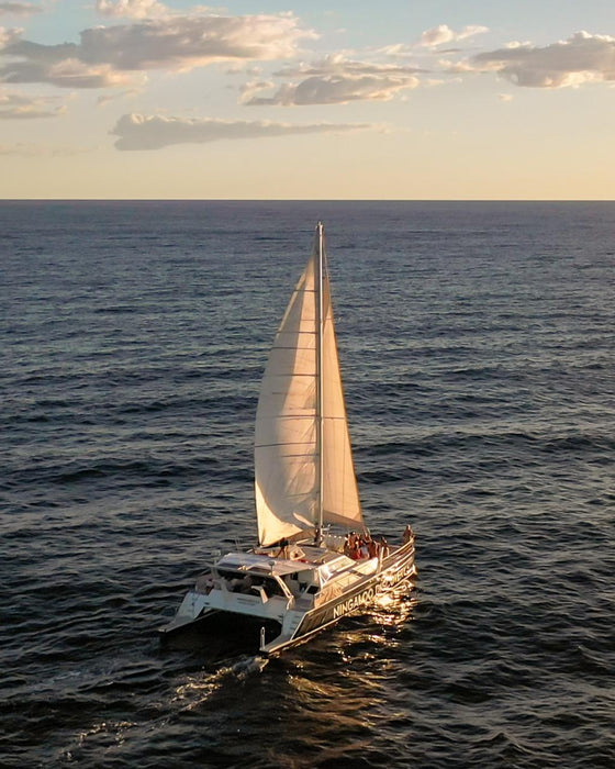 Sunset Sail Or Whale Watching (July-November)