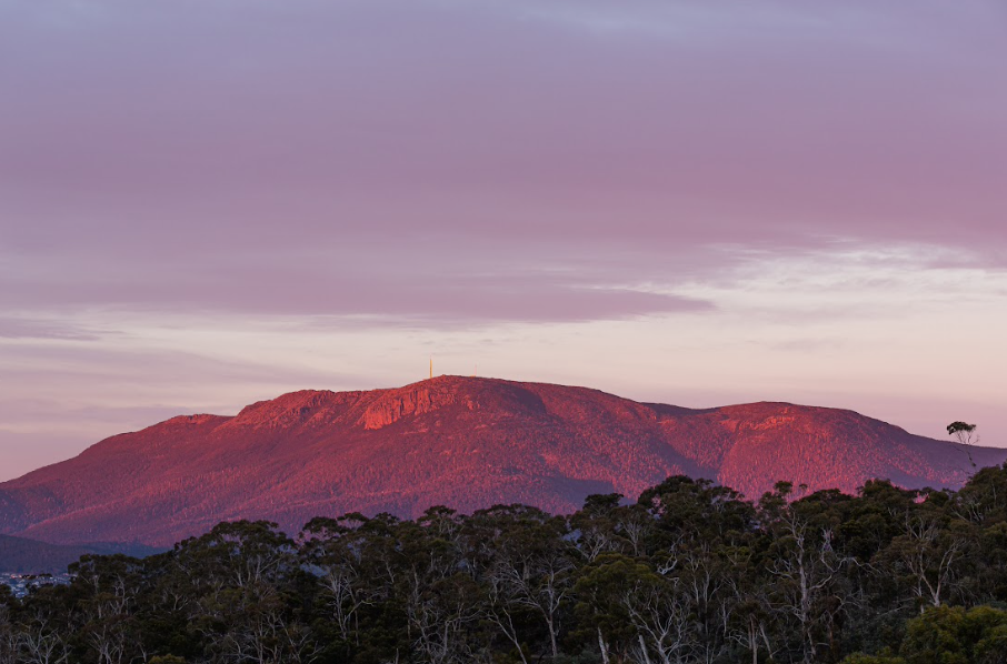 Hobart Highlights Day Tour