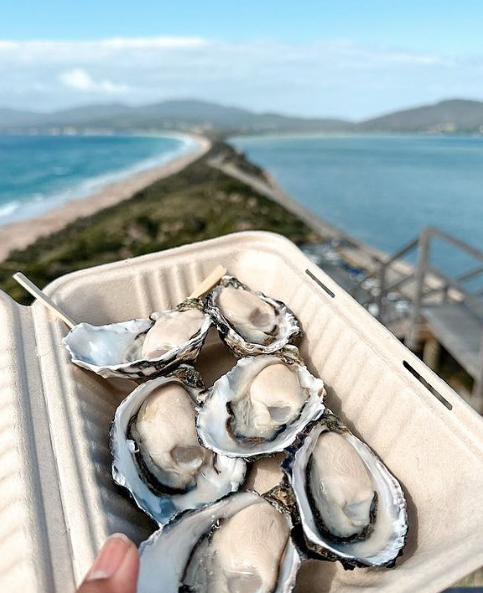 Bruny Island Day Tour