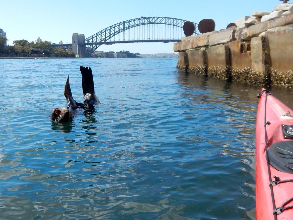 Kayak To Me-Mel At The Heart Of Sydney Harbour