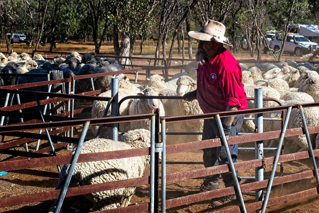 Eco Off Grid Camping Package At Carinya Station Farm Stay