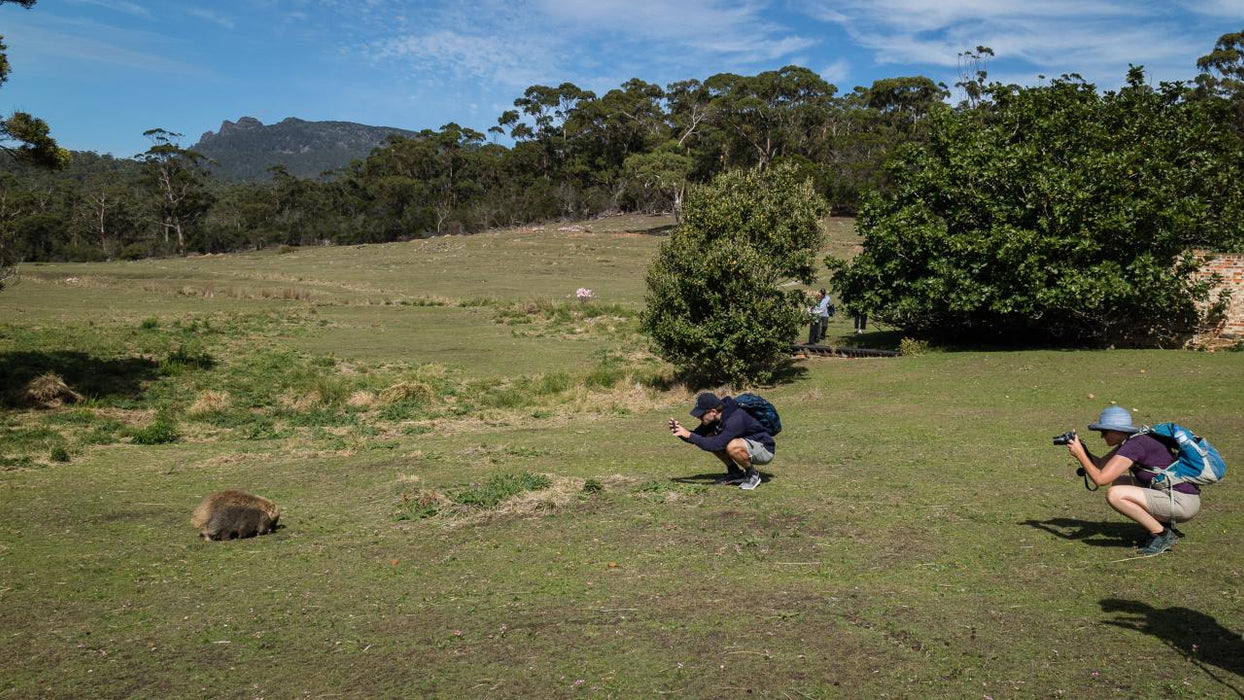 Maria Island National Park - Premium Private Photo-Oriented Day Tour