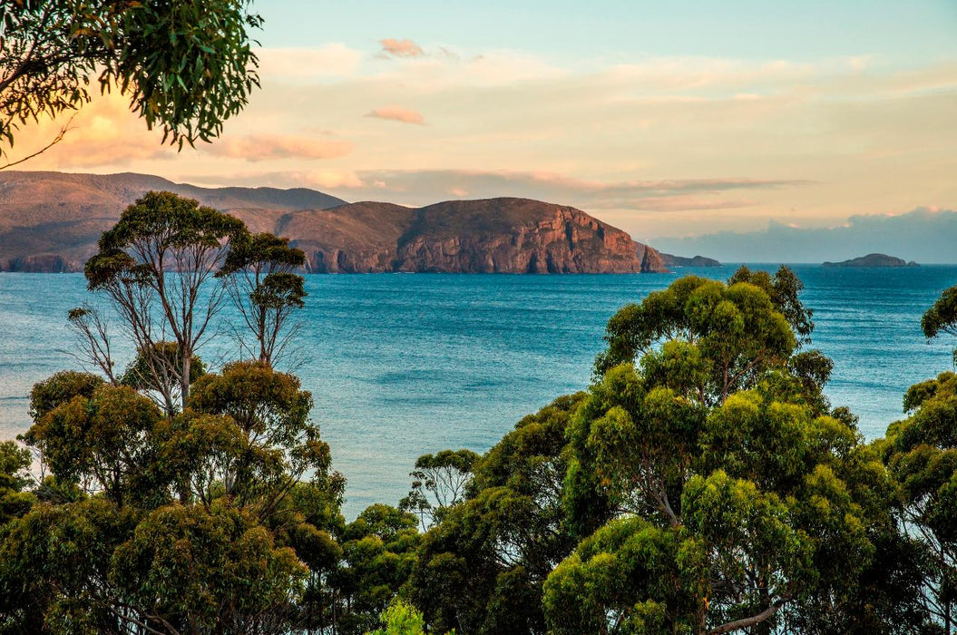 2 Day Bruny Island & Port Arthur Tour From Hobart