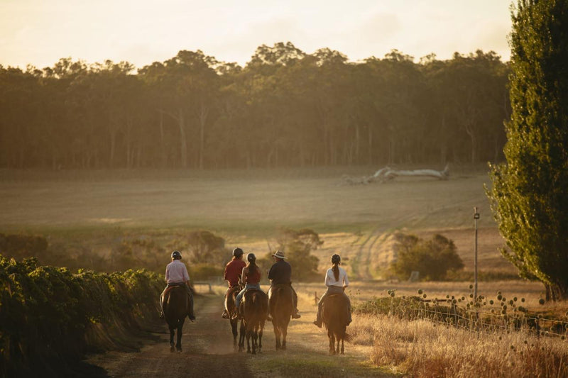 Country Lane Tour