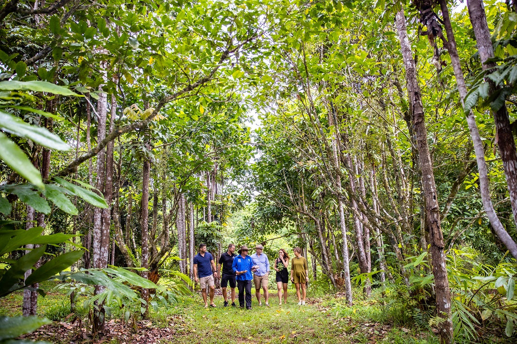 Private Cairns Tablelands Tasting Tour