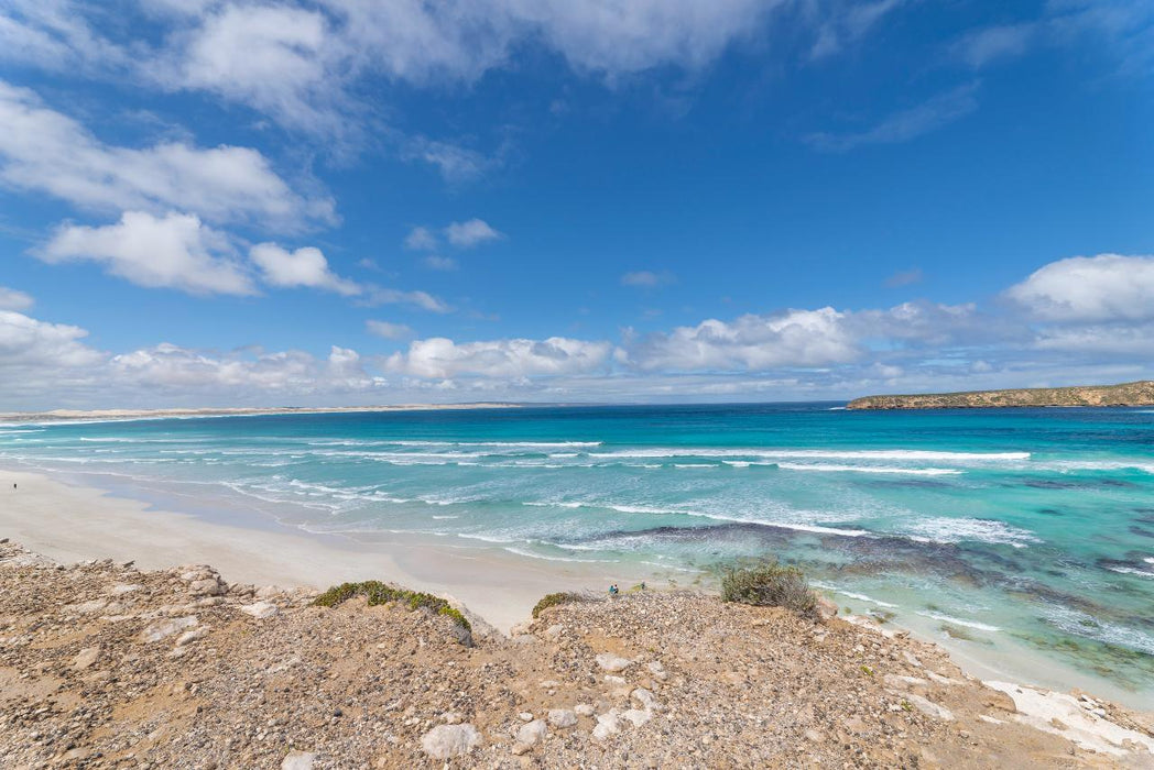 Coffin Bay - Oyster, Off-Road Sightseeing 4Wd Full-Day Tour