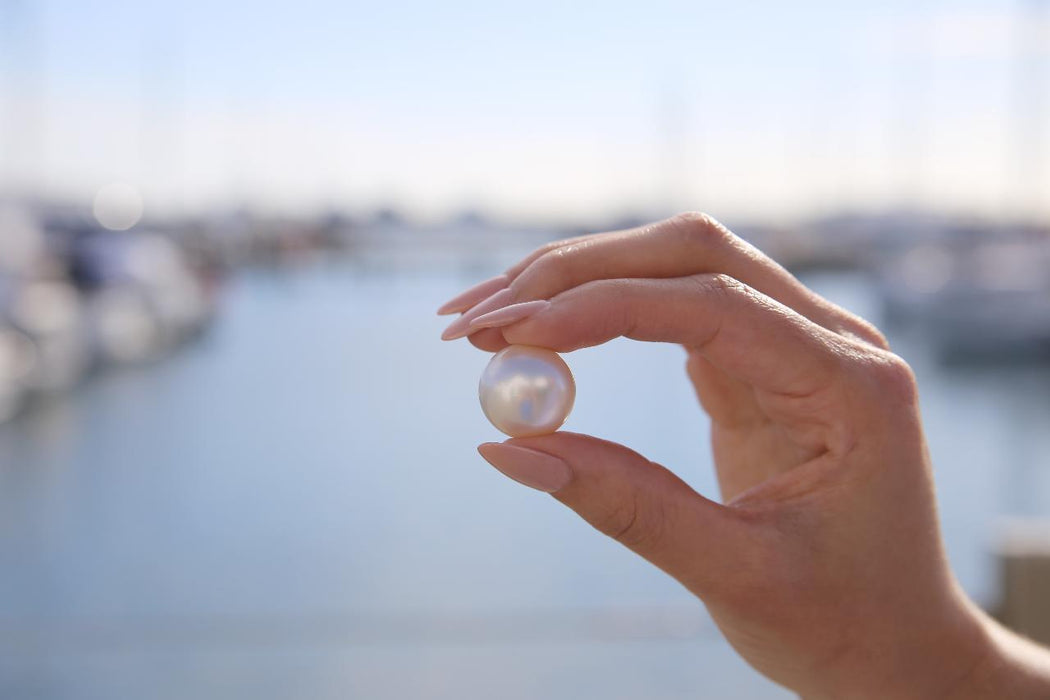 Pearls & Coast Flight And Willie Creek Pearl Farm Tour  - Ex Broome