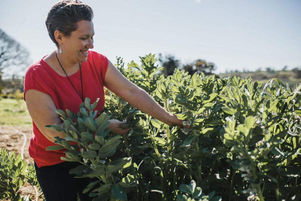 Six Senses Penobscot Farm Tour, Six Course Degustation Dinner With Matched Wines Or Mocktails