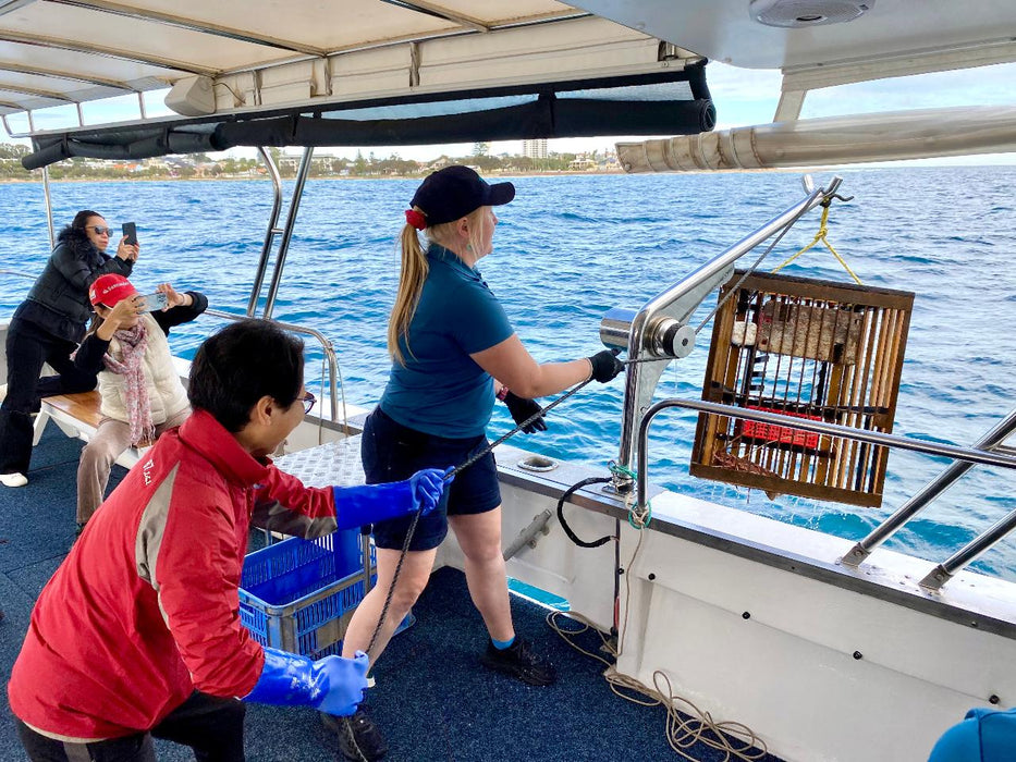 Mandurah Wild Seafood Experience