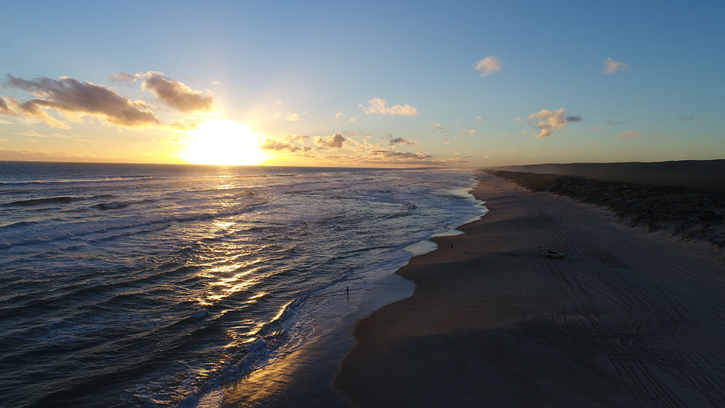 Beach & Forest Eco Adventure