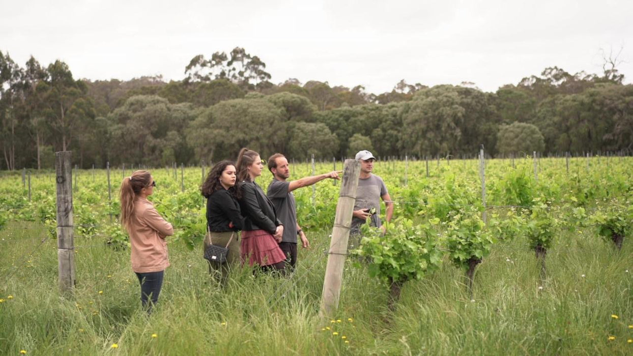 Full Day Wine & All About It Tour: Scones, Chocolate, Wineries, Lunch & More!