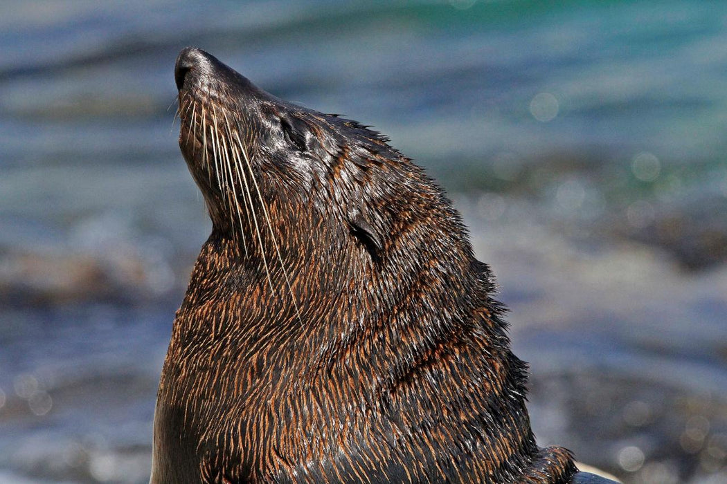 Self Guided E-Bike Tour - Pedal To Produce Series - Wildlife And Coastal Trail