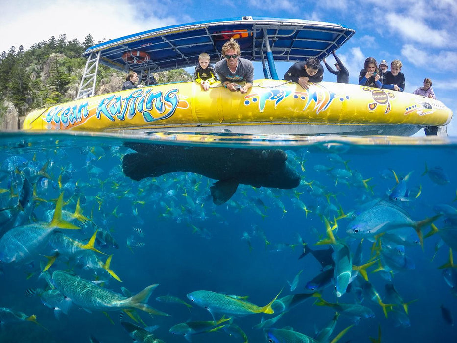 Daydream Island Southern Lights Tour