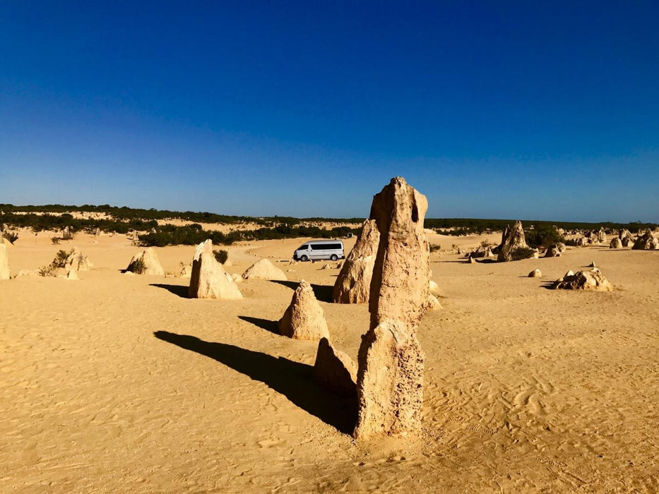 Yanchep, Lancelin, And Pinnacles Exclusive Private Full Day Tour