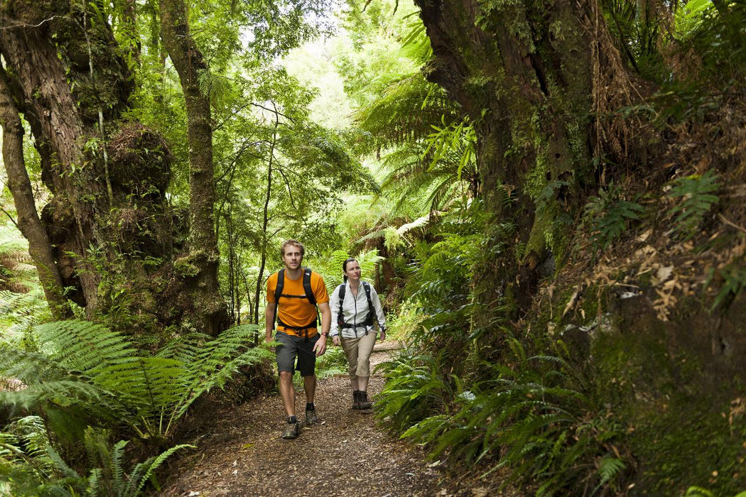 Autopia Tours: Great Ocean Road Experience - We Wander