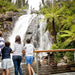 Autopia Tours: Lake Mountain Snow And Waterfalls Tour - We Wander