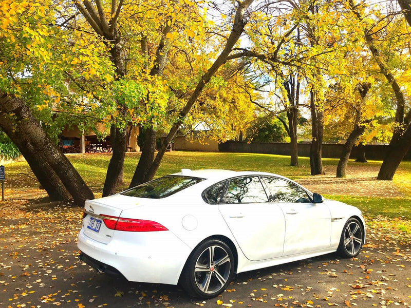 Barossa Uncut: Luxury Jaguar Experience, 3.5 Hours