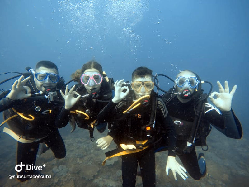 Introductory Dive Sunshine Coast Reefs - Double Dive