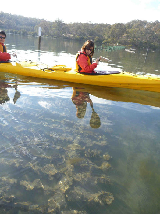 Oyster Tasting Kayak Tour - Batemans Bay