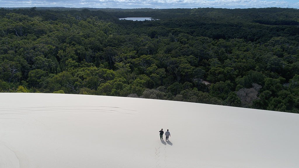 Beach & Forest Eco Adventure - We Wander