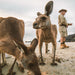 Beach Sunrise With The Wallabies - We Wander