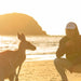 Beach Sunrise With The Wallabies - We Wander