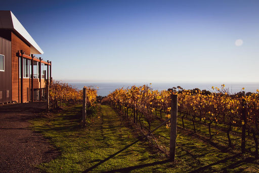 Bellarine Peninsula Food & Wine Taste Trail - We Wander