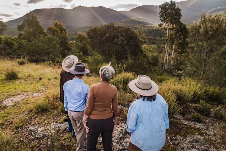 Best Of Wildlife And Birds Tour - Canberra - We Wander