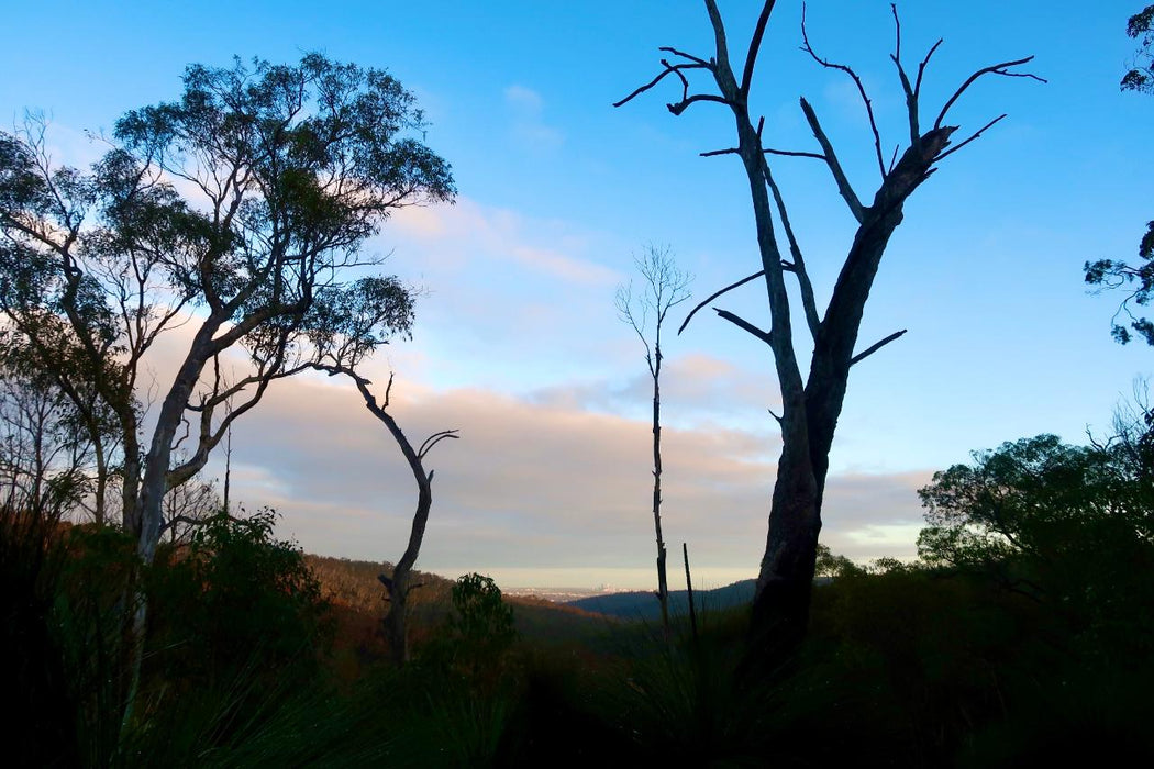 Bickley Valley Hiking Experience - We Wander