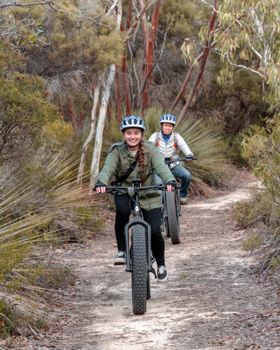 Electric Fatbike Tour