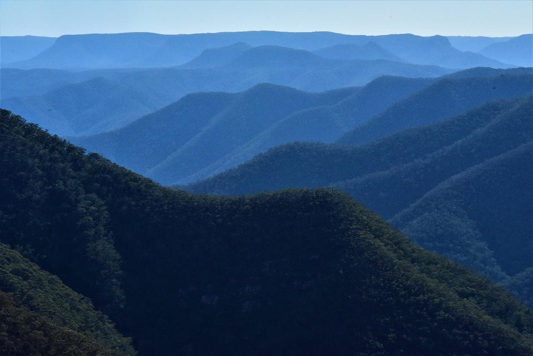 Blue Mountains Off The Beaten Track 4Wd Day Adventure Wildlife + River Cruise - We Wander