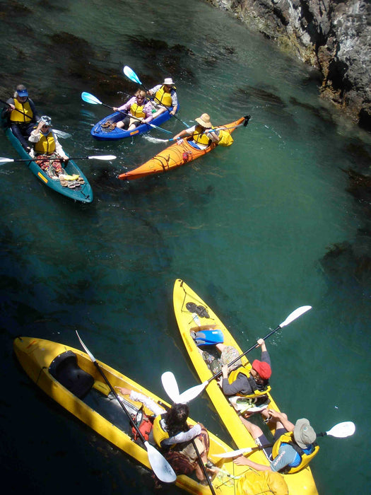 Glass Bottom Kayak Tour - Cullendulla Sanctuary