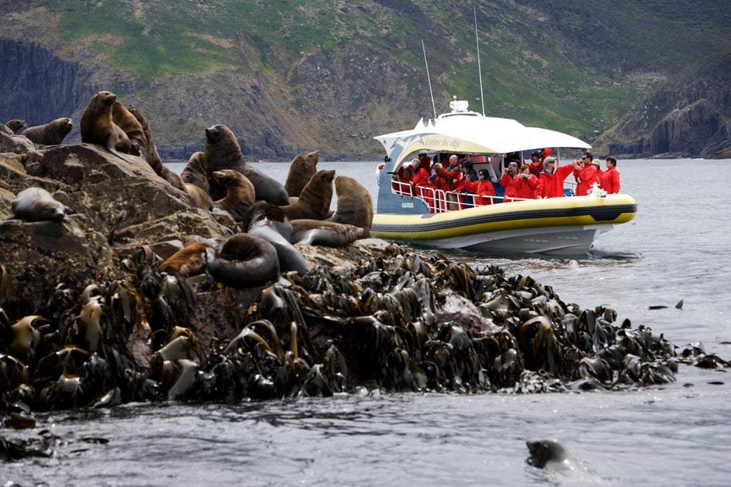 Bruny Island Cruises 3 Hour Cruise With Kettering Bus Pickup - We Wander