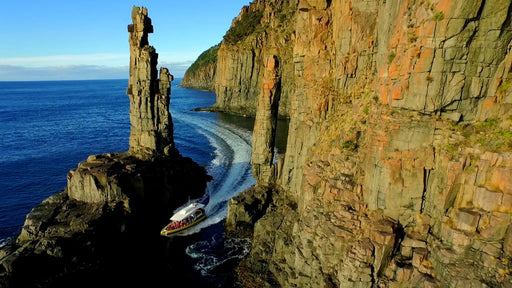 Bruny Island Cruises 3 Hour Cruise With Kettering Bus Pickup - We Wander