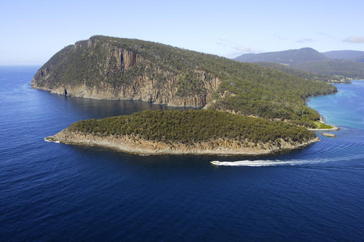 Bruny Island Cruises 3 Hour Cruise With Kettering Bus Pickup - We Wander