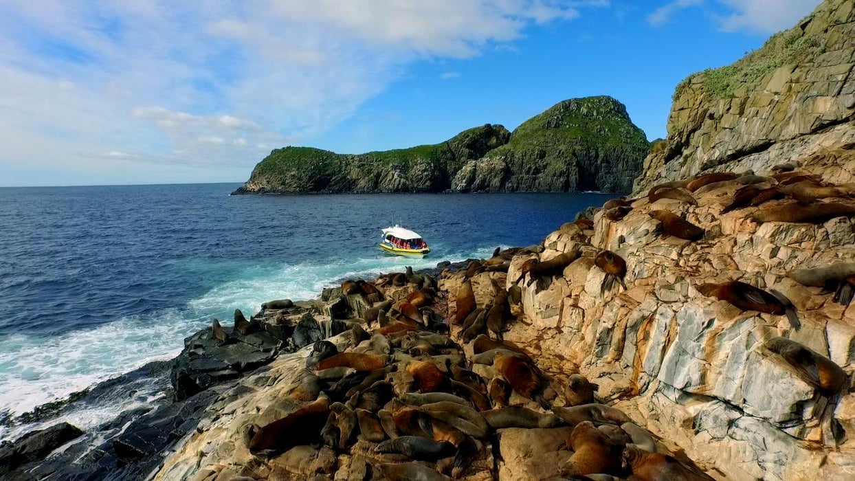 Bruny Island Cruises 3 Hour Wilderness Cruise - We Wander