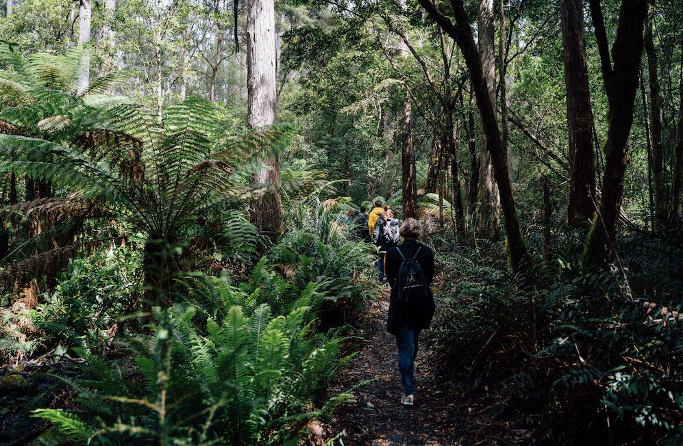 Bruny Island Day Tour - We Wander