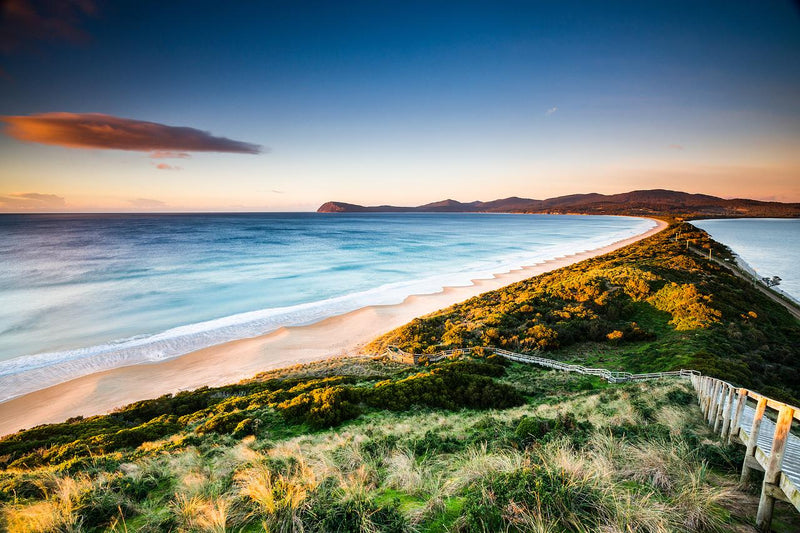 Bruny Island Day Tour - We Wander