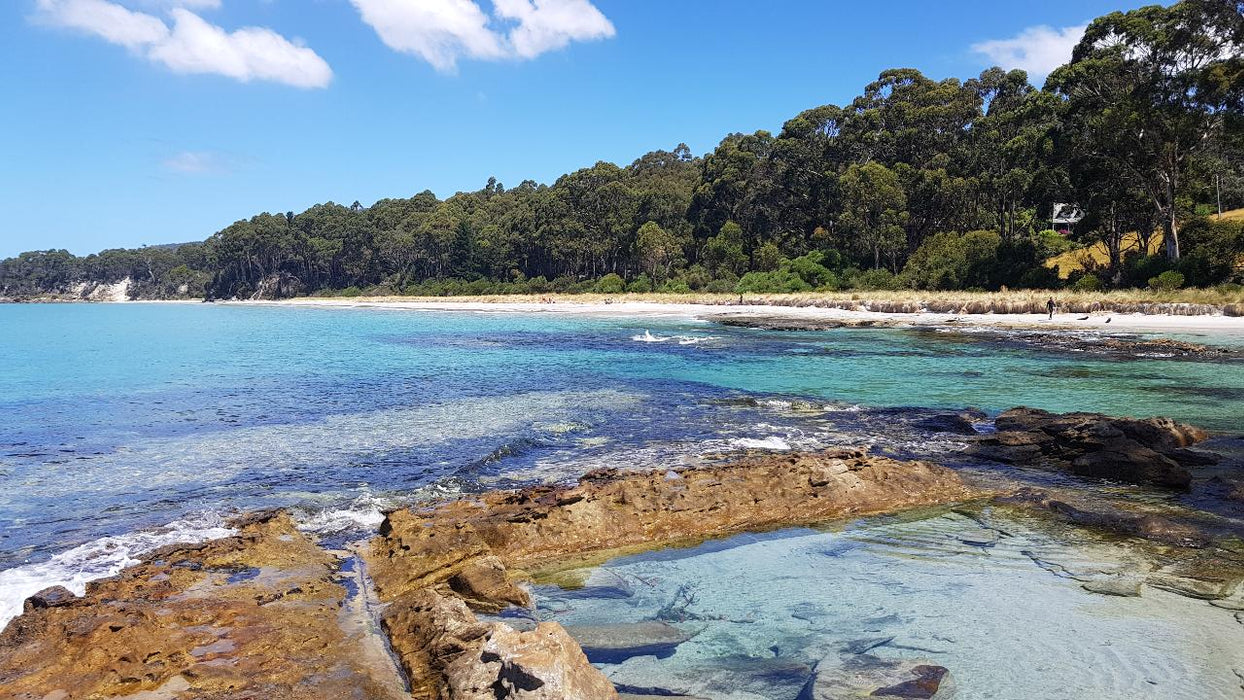 Bruny Island Day Tour - We Wander